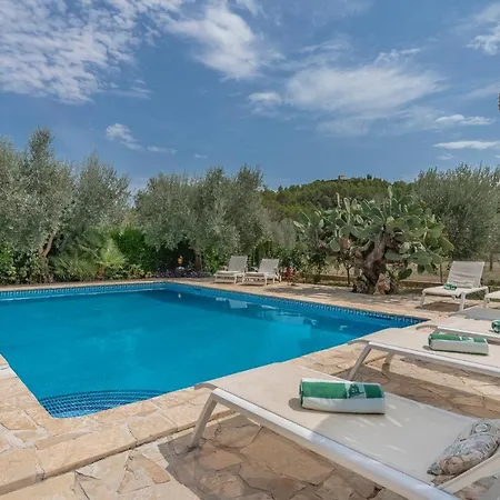 Finca La Vinya